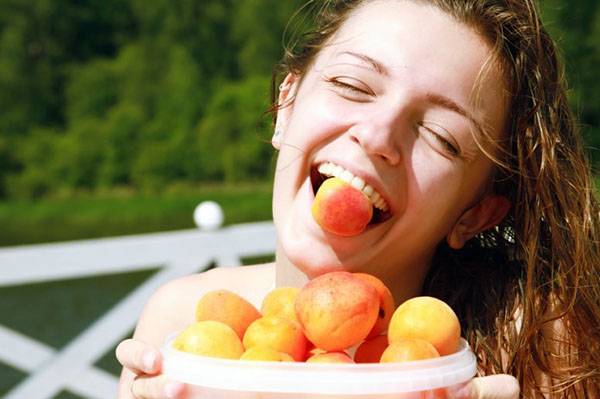 “абрикос: польза плодов и косточек, лечебные свойства и противопоказания”
