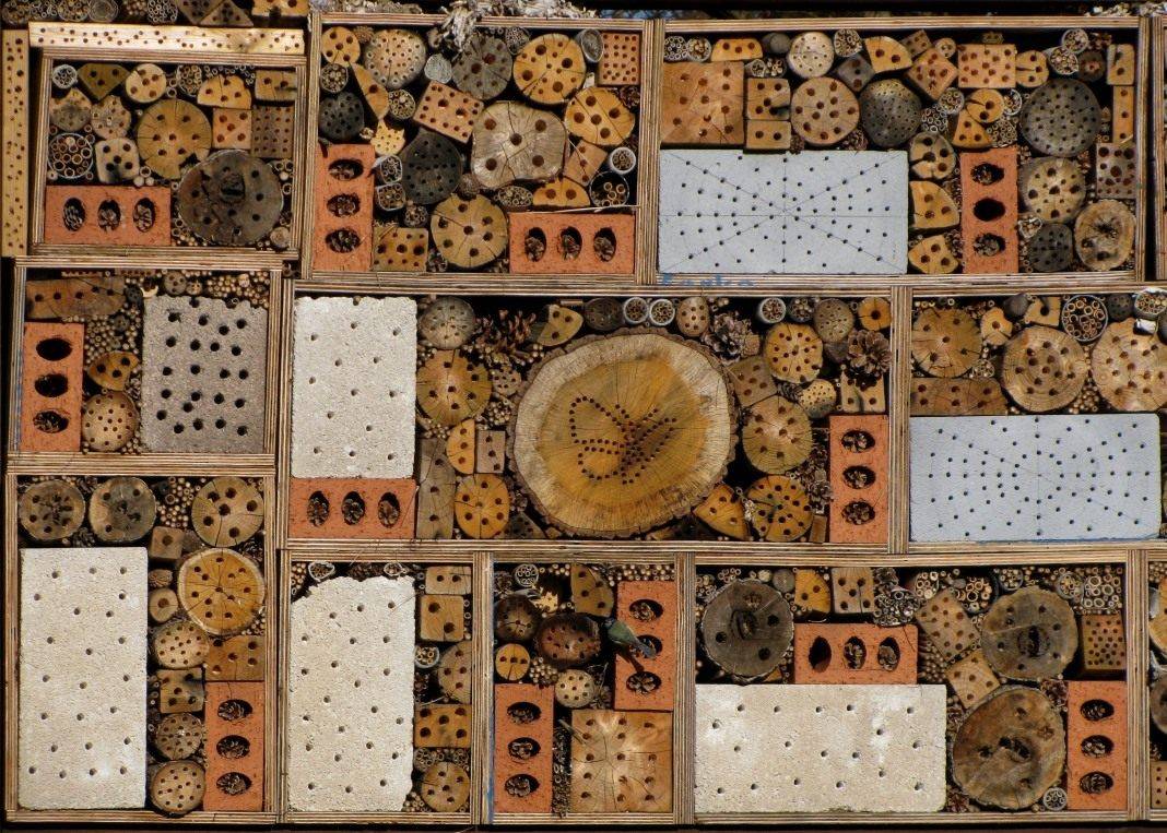 Пчелиные улья — чертежи, размеры, проекты и стандарты. пошаговое описание как построить своими руками (видео + 130 фото)