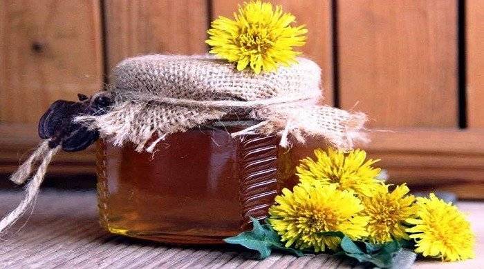 Мед из одуванчика лечебные свойства и противопоказания