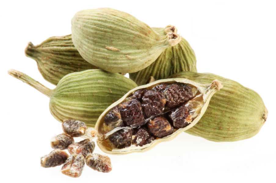 «райское зерно» — кардамон и его полезные свойства, противопоказания и способы применения