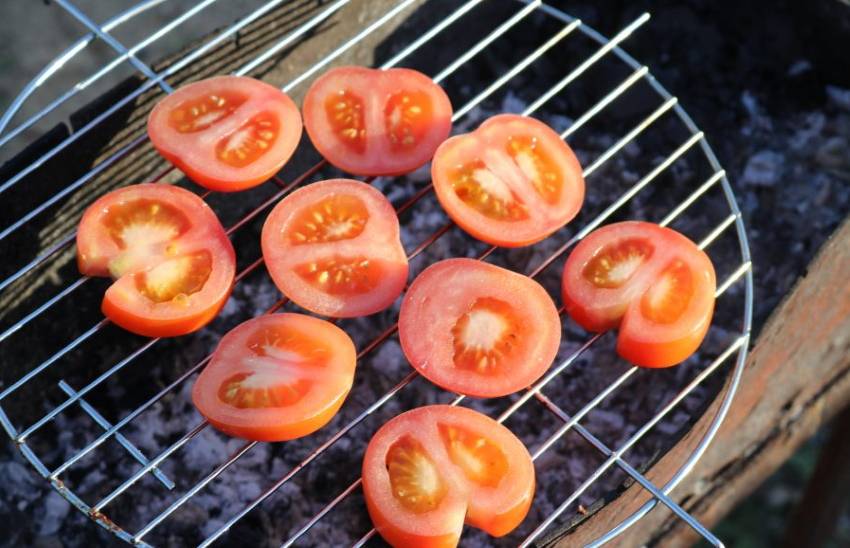 Как приготовить помидоры на гриле — тонкости для начинающих