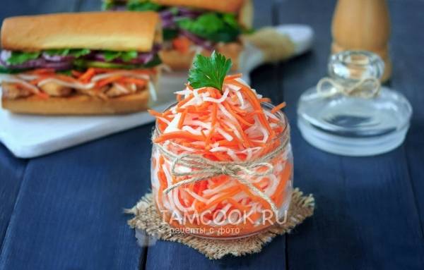 Посадка и уход за черной редькой на даче