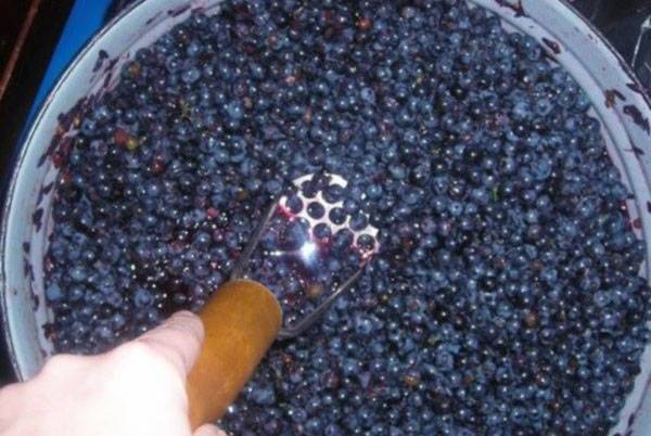 Как сделать заготовку виноградных листьев на зиму для долмы по пошаговому рецепту с фото