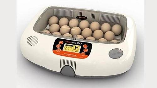 Сепаратор для яиц из китая, сравнение стоимости в интернет-магазинах и на алиэкспресс, видео