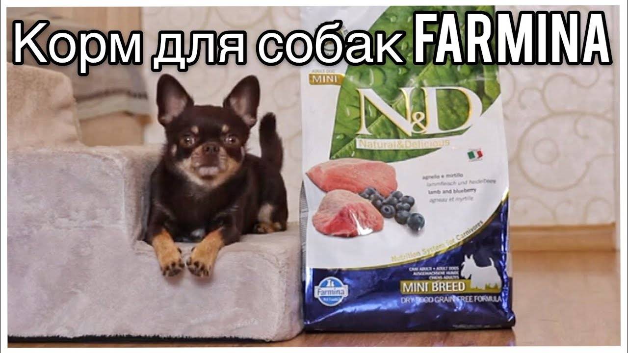 Фармина: корм для собак мелких и крупных пород