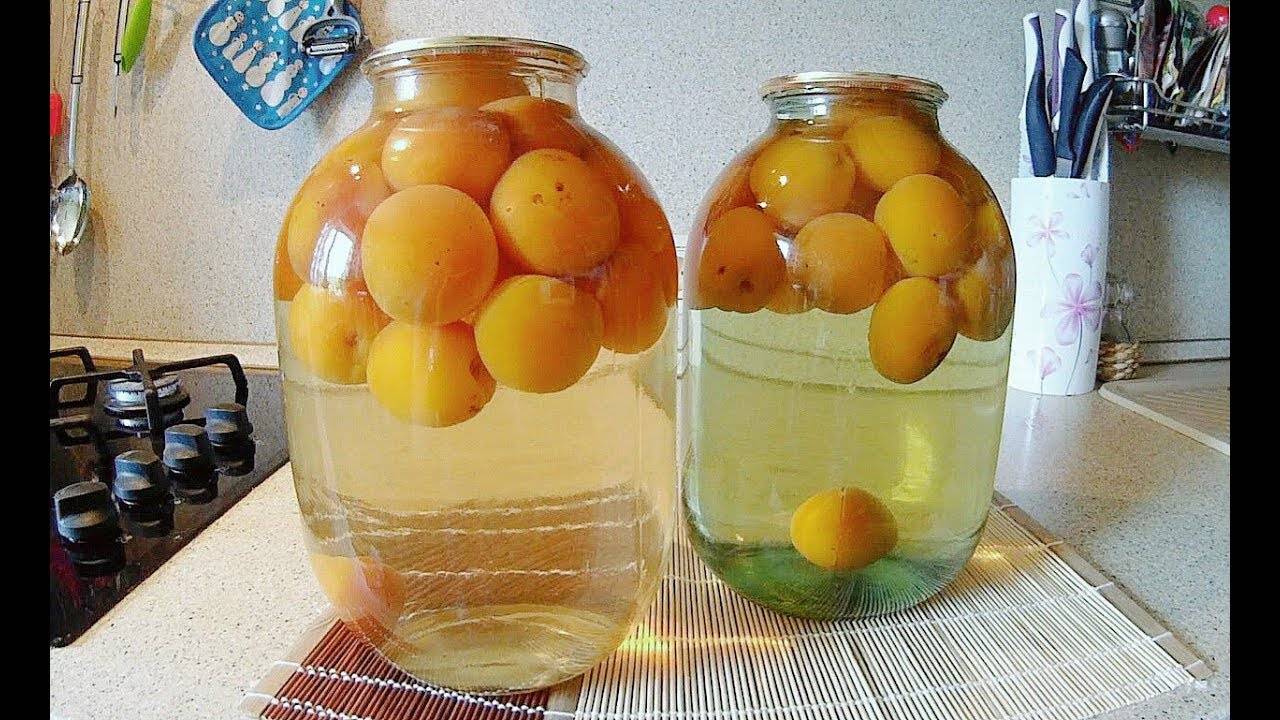Компот из абрикосов и апельсинов: 3 рецепта абрикосового компота на зиму