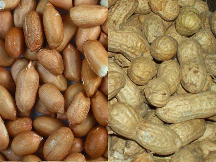 Арахис в кокосовой глазури. арахис в кокосовой глазури: польза и вред для организма