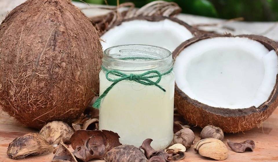 Растительное молоко кокоса для организма и чем оно отличается от кокосовой воды: как его готовить
