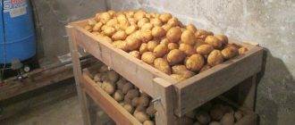 Технология длительного хранения картофеля в овощехранилищах