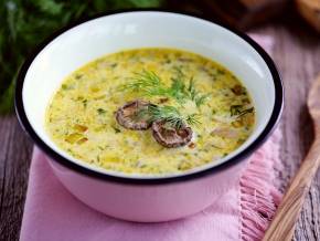Суп с плавленным сыром - 73 домашних вкусных рецепта приготовления