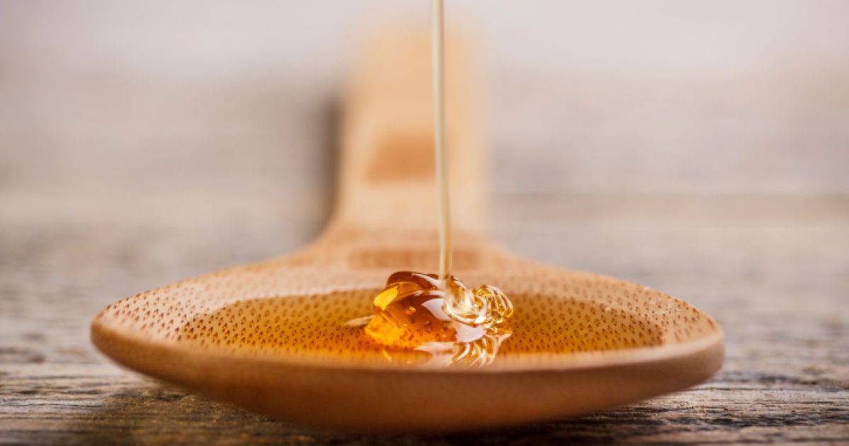Гречишный мед: польза и вред, как определить натуральность