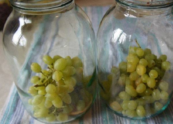 Виноградный компот: вкуснейшие рецепты приготовления компота из винограда на зим у