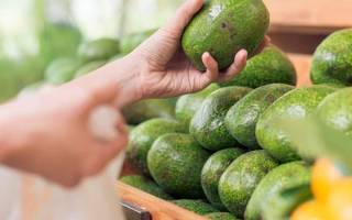 Как ускорить созревание авокадо дома