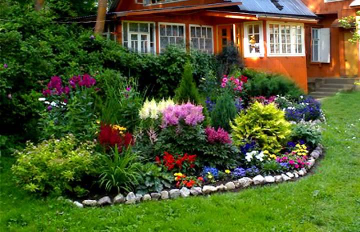 Как разбить красивый цветник перед домом на даче: 5 вариантов на любой вкус
