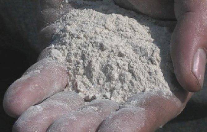 Как самостоятельно определить кислотность почвы?
