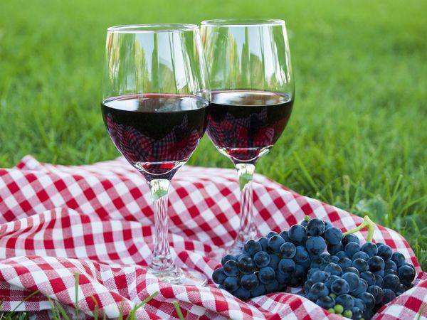 Рецепт вина из изабеллы в домашних условиях