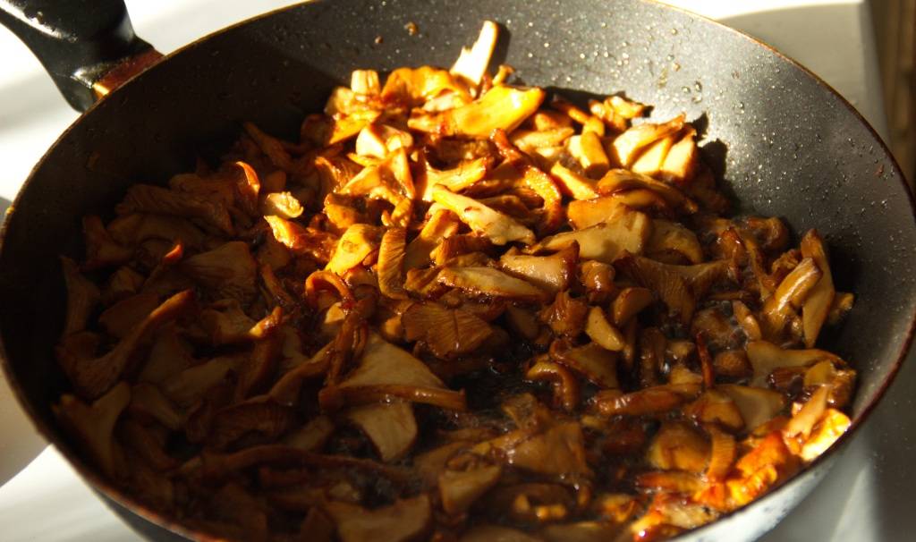 Как приготовить грибы лисички – вкусно и быстро