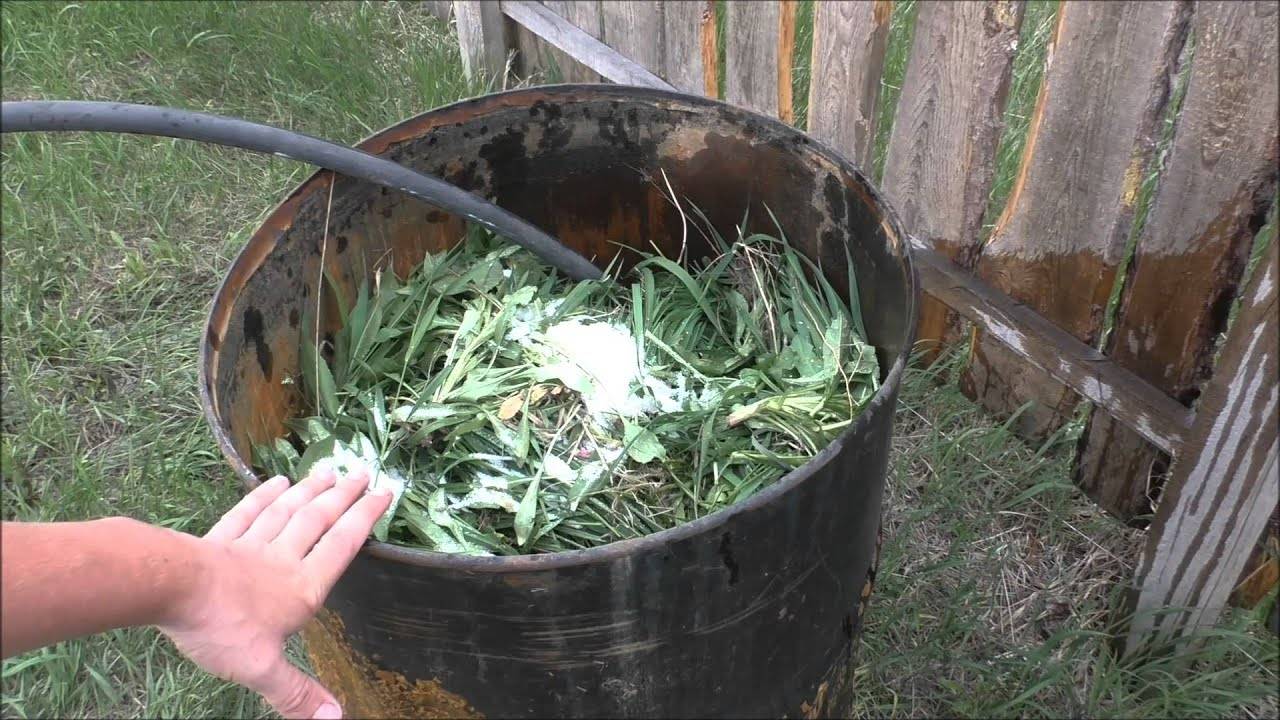 Как сделать компост из скошенной травы – ингредиенты, способы приготовления
