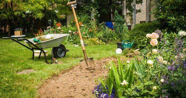 Какие удобрения вносить весной: чем подкормить сад, огород, газон и цветник