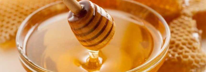 Виды меда и их характеристика с фото