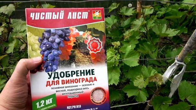 Подкормка саженцев винограда — основные рекомендации