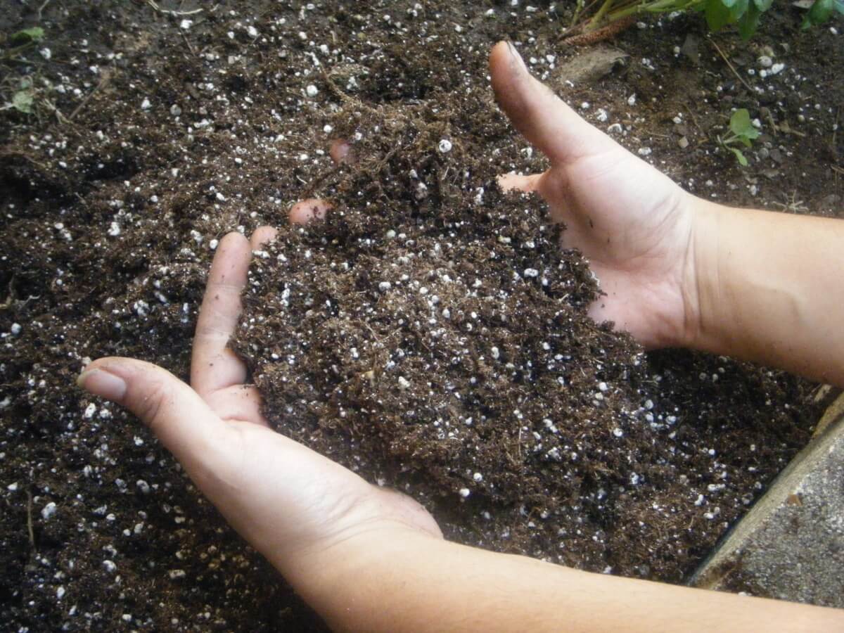 Мочевина (карбамид) — удобрение и защита растений