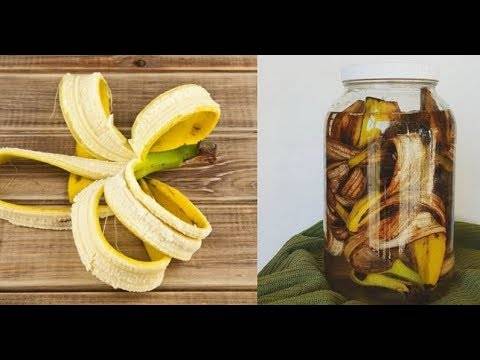 Банановая кожура как удобрение в домашнем цветоводстве: когда применение даст эффект?