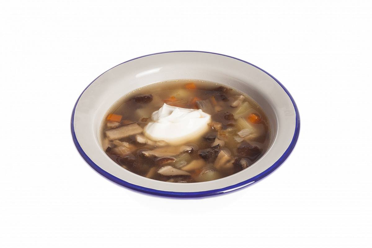 Лучшие рецепты супа из свежих шампиньонов с картофелем