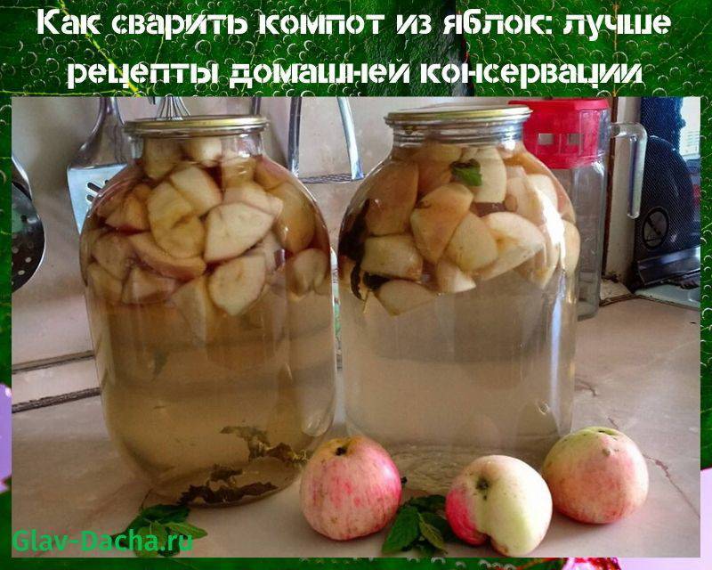 Как сварить компот из яблок: лучше рецепты домашней консервации