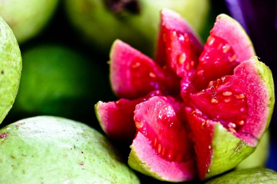 Фрукт гуава – полезные свойства, калорийность, как едят