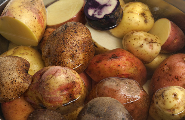 Обзор красных сортов картофеля и особенности выращивания