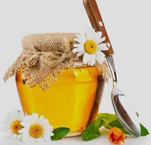 Тыквенный мед: способы и рецепт приготовления, полезные свойства и отзывы