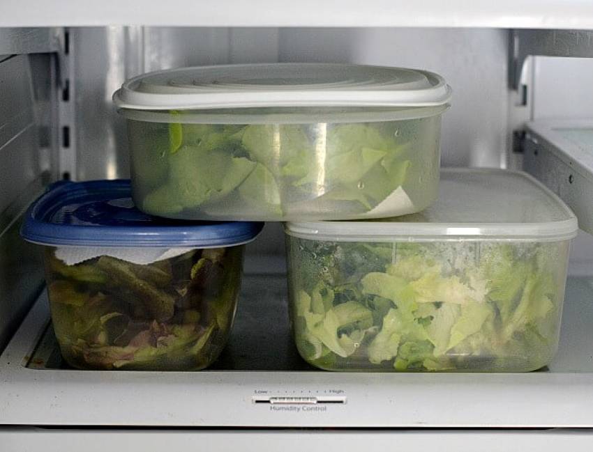 Как сохранить зелень в холодильнике, чтобы оставалась свежей: описание способов