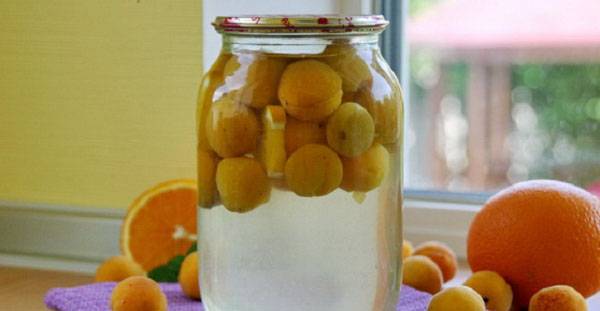 Компот из абрикосов и апельсинов: 3 рецепта абрикосового компота на зиму