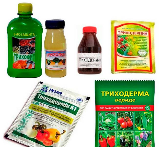 Биопрепарат Триходермин против болезней растений