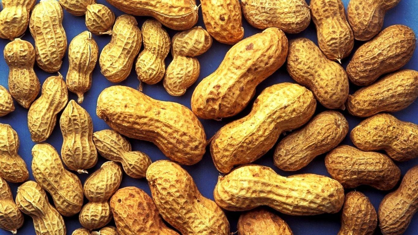 Выращивание арахиса самостоятельно: правила посева, ухода, сбора урожая