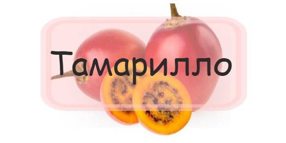 Тамарилло фрукт — фото и описание, как кушать плоды томатного дерева