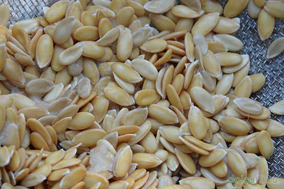 Дынное семя. полезные свойства удивительных семечек дыни. семечки дыни: полезные свойства, противопоказания и рецепты