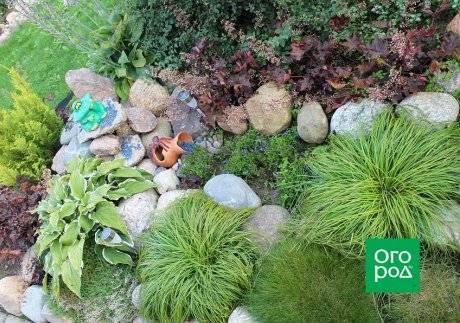 Огород на дачном участке — пошаговая инструкция как разбить правильно огород (130 фото)