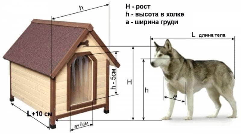 Будка для собаки своими руками: домик и конура, летняя, зимняя, для выводка и др.