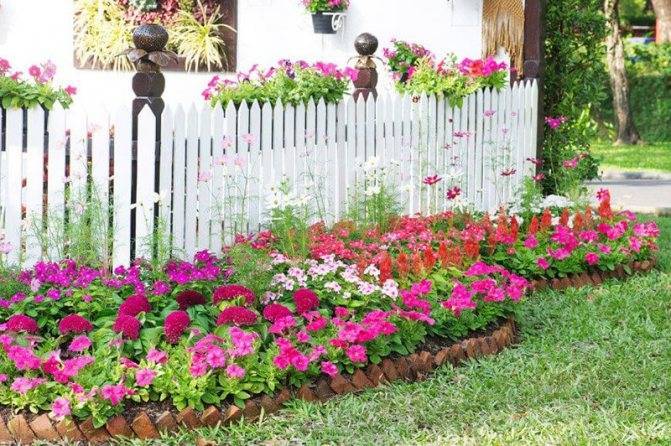 Как разбить красивый цветник перед домом на даче: 5 вариантов на любой вкус