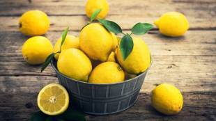 Лимон: польза и вред для организма человека