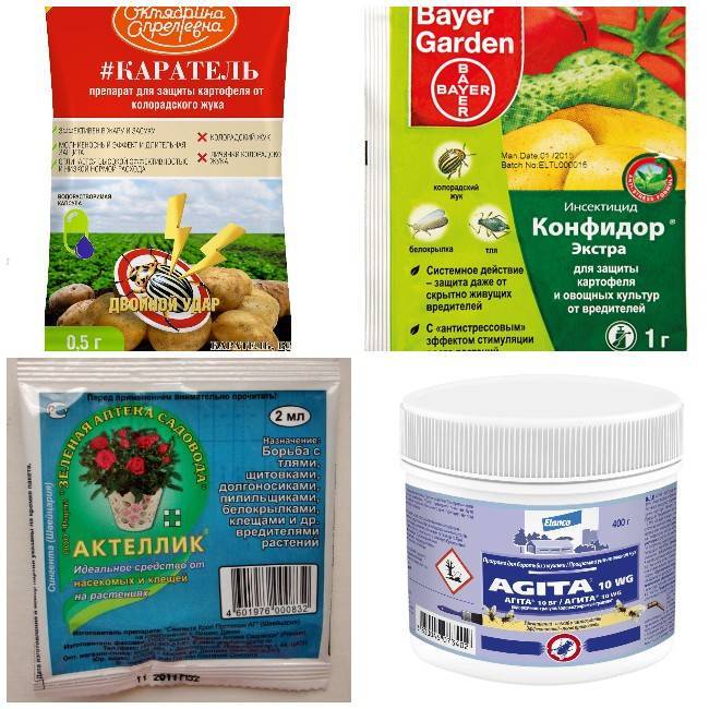 Продукция