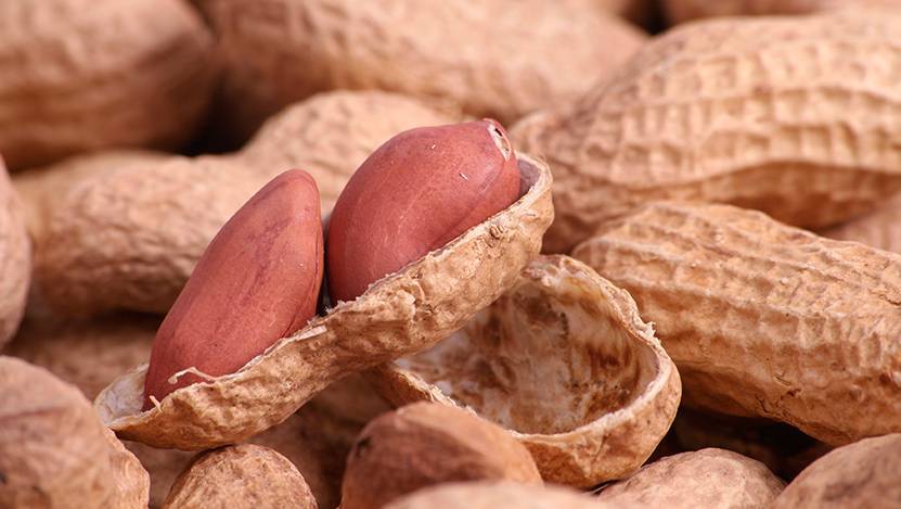Чем полезен арахис для организма человека?