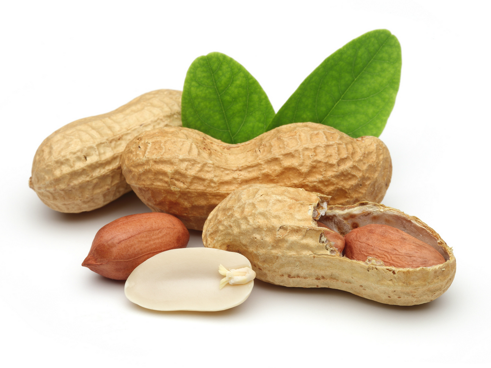Чем полезен арахис для женщин, и может ли он нанести вред организму
