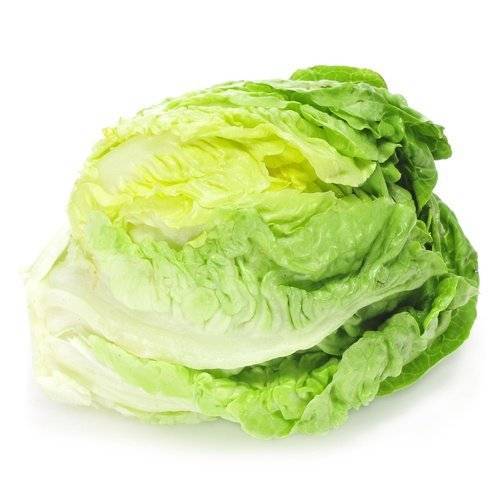 Польза и вред листового салата для здоровья организма