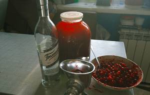 Настойка из клюквы на водке и спирту в домашних условиях: рецепты