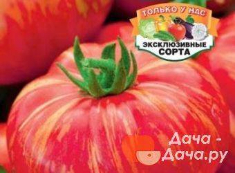 Ранние томаты: как получить урожай в июне