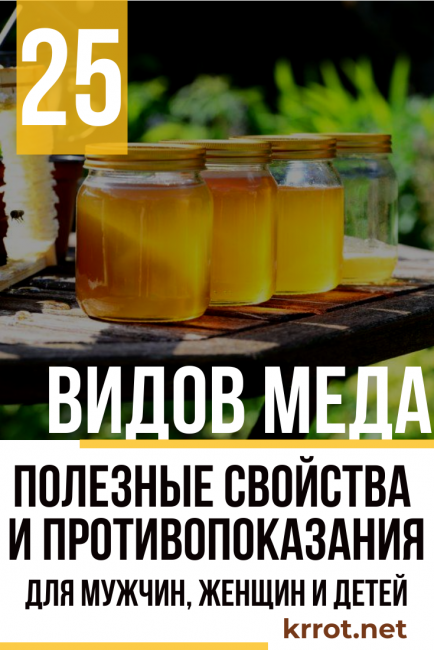 Какой мед полезнее – сорта меда и их свойства, правила покупки и употребления