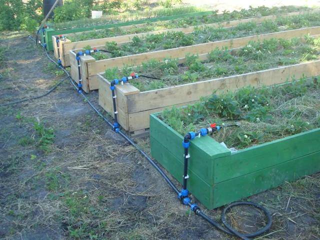 Автоматический полив огорода на даче